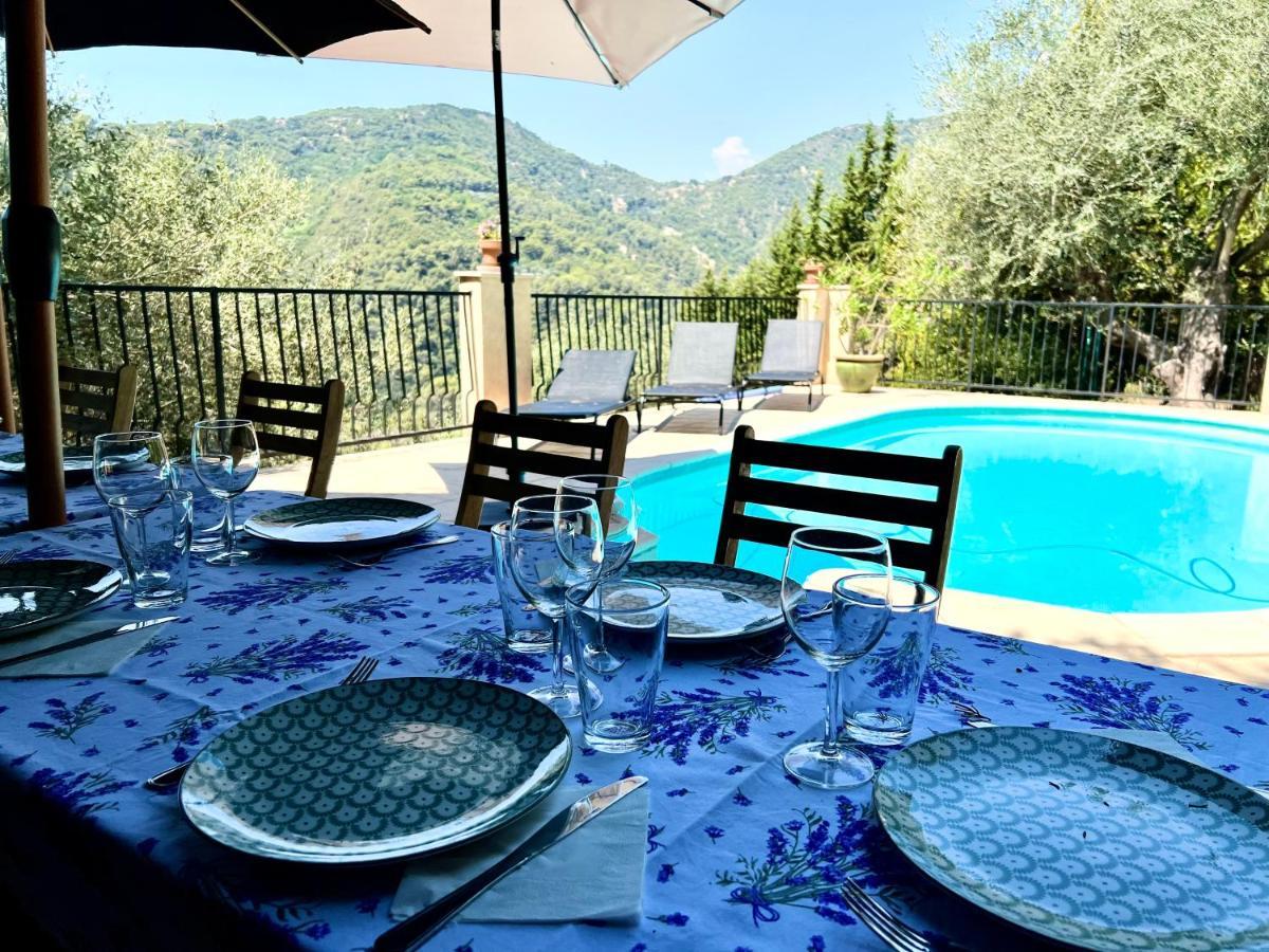 Entre Nice Et Monaco Grande Villa Avec Piscine Privee 12 Personnes Драп Экстерьер фото