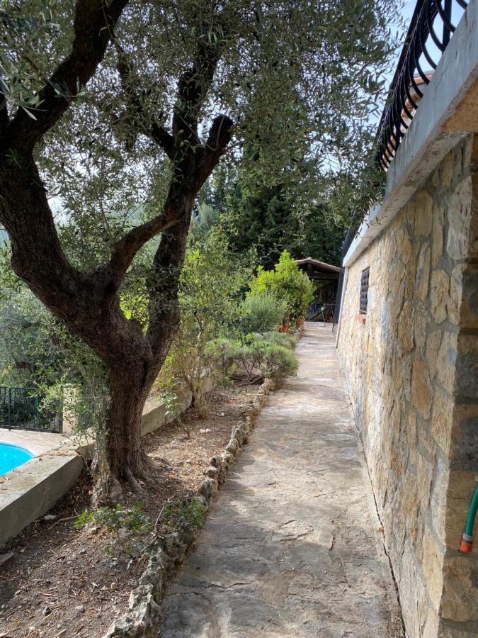 Entre Nice Et Monaco Grande Villa Avec Piscine Privee 12 Personnes Драп Экстерьер фото