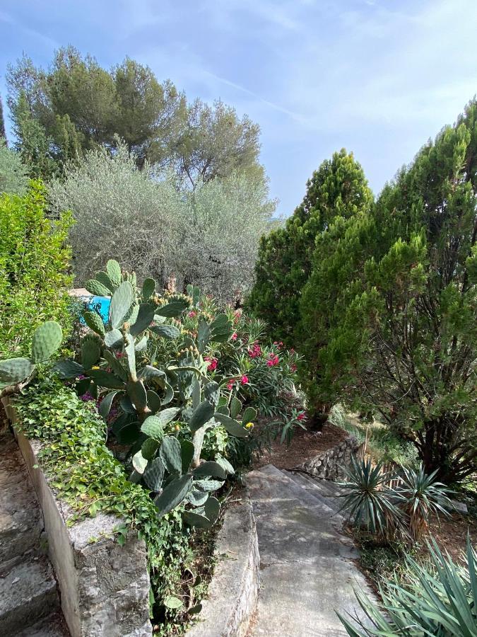 Entre Nice Et Monaco Grande Villa Avec Piscine Privee 12 Personnes Драп Экстерьер фото