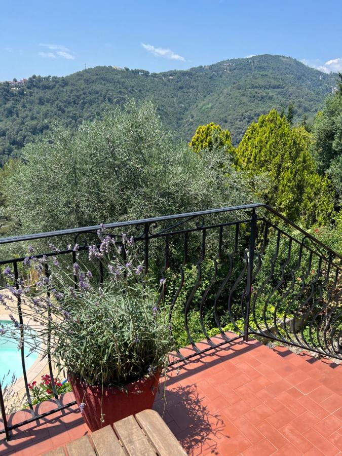 Entre Nice Et Monaco Grande Villa Avec Piscine Privee 12 Personnes Драп Экстерьер фото